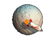 World