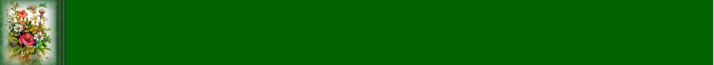 divider