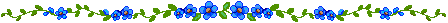 divider
