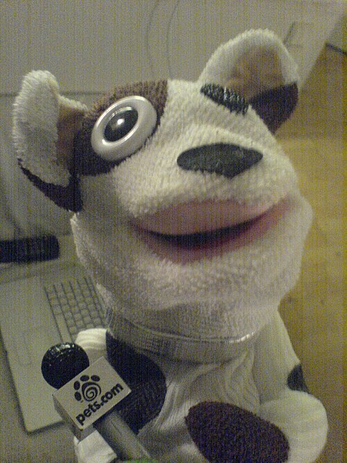 The Pets.com Sock Puppet